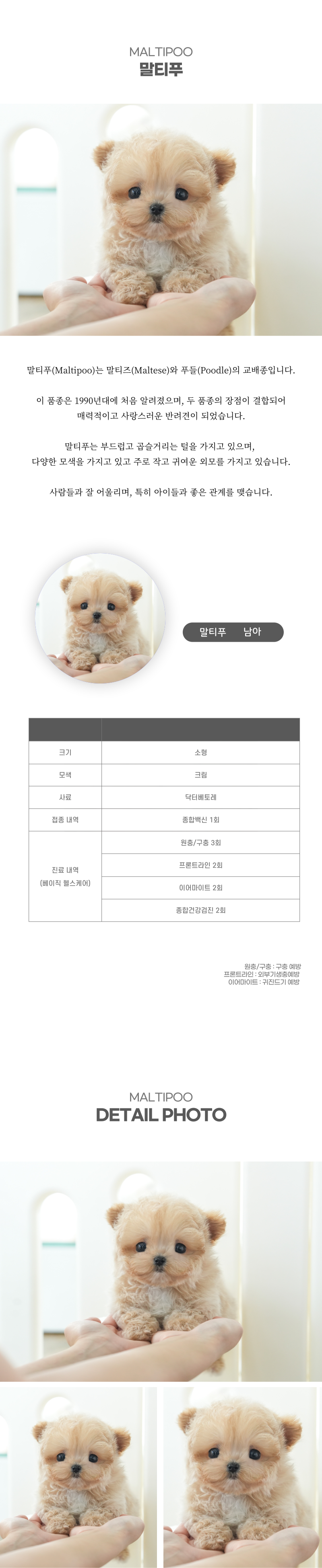 말티푸_상세이미지_2